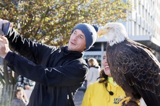 Sur cette photo l'aigle Sherkan, un pygargue à tête blanche lors d'un spectacle de fauconnerie par "Les Aigles du Léman" à Genève en 2022 (archives). KEYSTONE/SALVATORE DI NOLFI